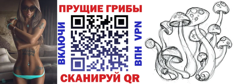 Галлюциногенные грибы MAGIC MUSHROOMS купить наркотик kraken Петров Вал